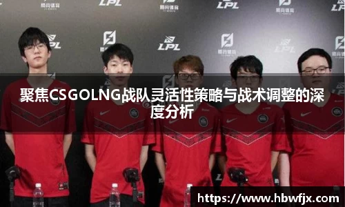 聚焦CSGOLNG战队灵活性策略与战术调整的深度分析