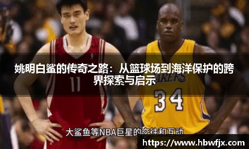 姚明白鲨的传奇之路：从篮球场到海洋保护的跨界探索与启示
