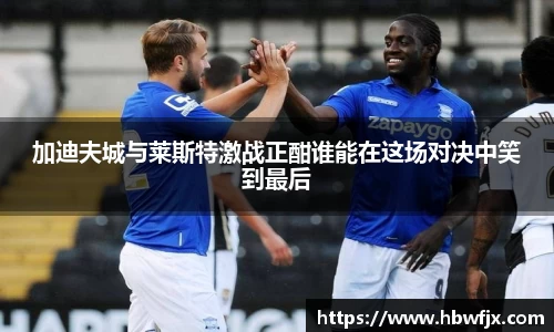 加迪夫城与莱斯特激战正酣谁能在这场对决中笑到最后